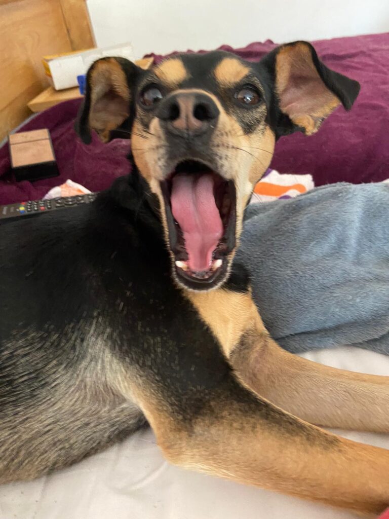 Lola